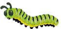 cute green caterpiller